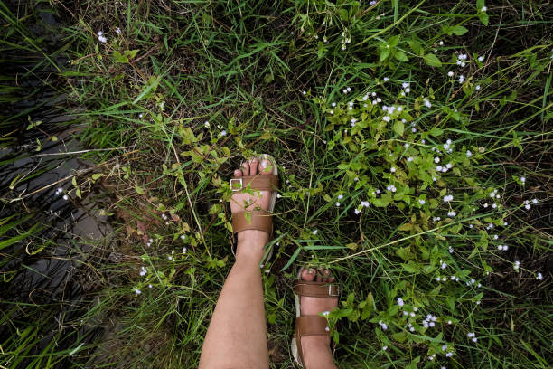 istock feet with sandle walking over green grass field 1219368147