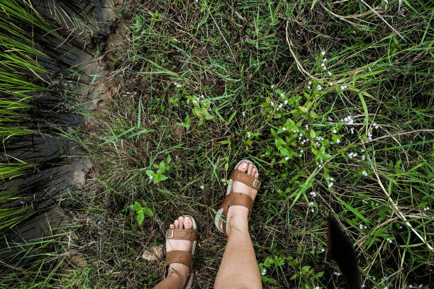 istock feet with sandle walking over green grass field 1219368176