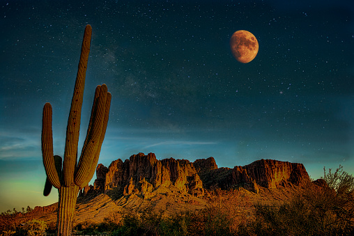 Night in the Desert with moon and saguaro cactus.