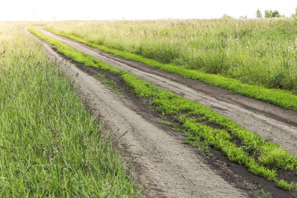 Dirt road in green field. Transportation in countryside. stock photo