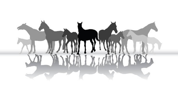 ilustraciones, imágenes clip art, dibujos animados e iconos de stock de silueta de caballos de pie con reflejo - colts