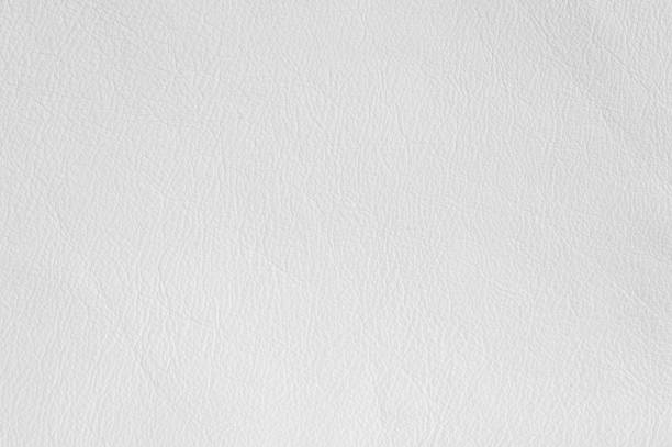istock Luxury white leather samples close-up. Can be used as background. 1219372435