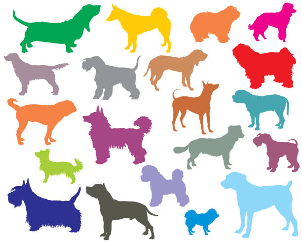 ilustraciones, imágenes clip art, dibujos animados e iconos de stock de conjunto de siluetas de perros coloridos-5 - molosser