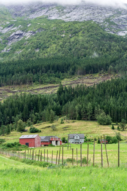 istock Norwegian landscape with red painted wall house 1219382815