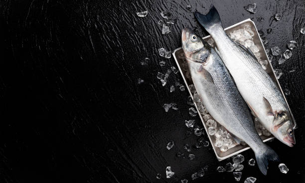 istock Seabass fish on metal tray on black stone background 1219382925