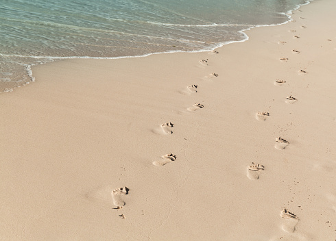Footprints of bare feet are on a wet sand of the beach, summer vacation background photo