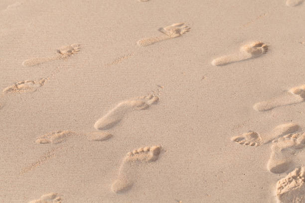 istock Footprints on wet sand on the beach, natural photo 1219382970