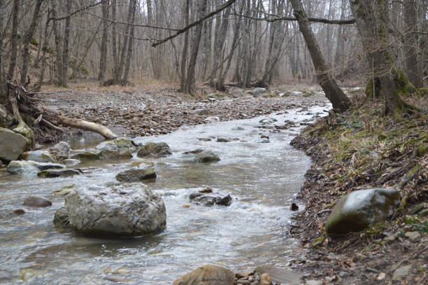 istock River winter autumn forest nature 1219383606