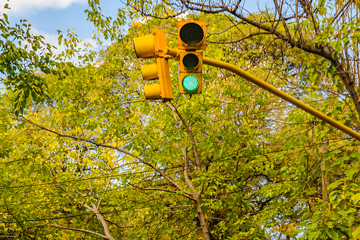 Green traffic light over bushy trees background