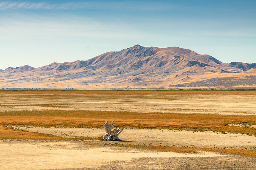 Salt Lake City, Utah, USA barren landscape at the Great Salt Lake.