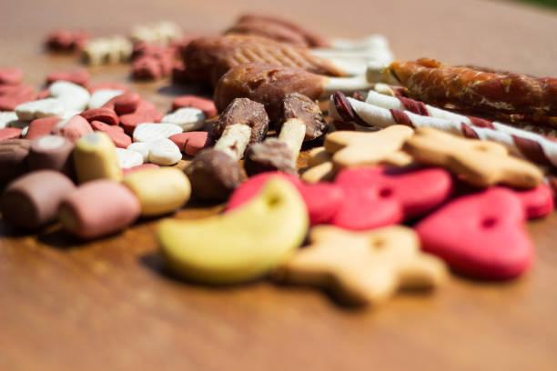 istock Dog tasty colored biscuits, snacks for dogs 1219391286