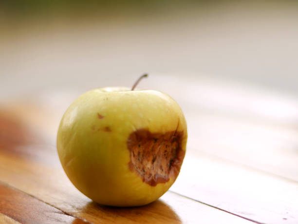 Rotten Apple Rotten Apple on a wooden chair bruised fruit stock pictures, royalty-free photos & images