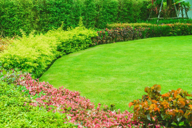 istock Landscaped Formal, Front yard with garden design, Green lawn 1219392857