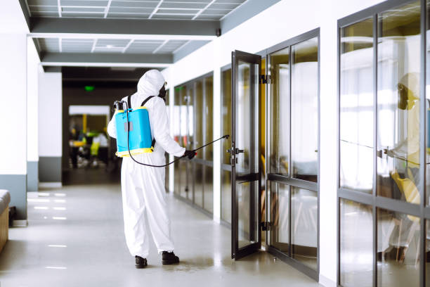 Disinfection of office to prevent COVID-19, Disinfection of office to prevent COVID-19, Man in protective hazmat suit with with spray chemicals to preventing the spread of coronavirus, pandemic in quarantine city. Cleaning concept. antiseptic stock pictures, royalty-free photos & images