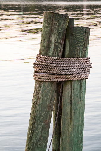 Boat Dock Pilings