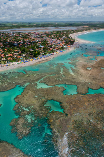 istock Porto de Galinhas Beach, Ipojuca 1219397059
