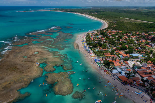 istock Porto de Galinhas Beach, Ipojuca 1219397124