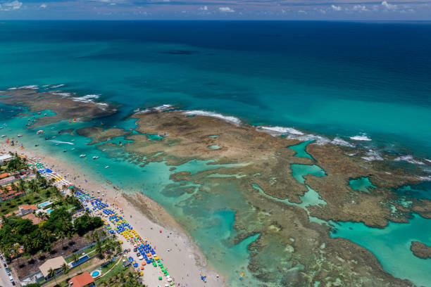 istock Porto de Galinhas Beach, Ipojuca 1219397302