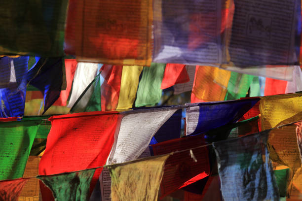 drapeaux bouddhistes tibétains - monastère de taktsang photos et images de collection