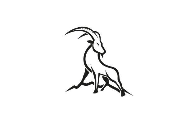 ilustrações de stock, clip art, desenhos animados e ícones de creative gazelle hill - gazelle