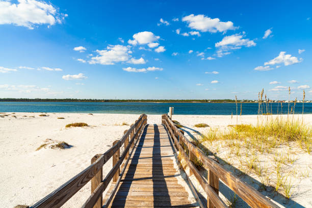 istock Beautiful North Florida Beach 1219400783