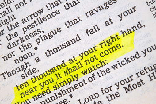 holy bible psalms 91