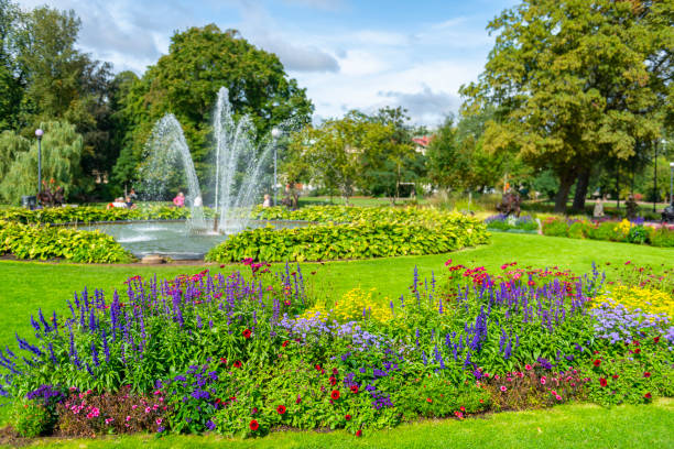 istock Summer park with fountain and flowerbeds 1219405841