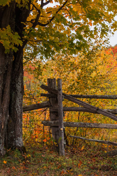 istock Autumn Landscape - Wooden Fence Post 1219406043