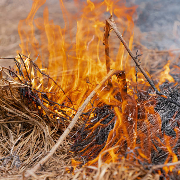 istock Red fire and smoke burning grass in farming field. Selective soft focus, motion blur from strong fire and high temperature flames 1219406998