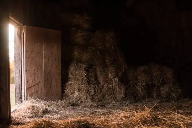 Photo of Hay Storage inside Barn