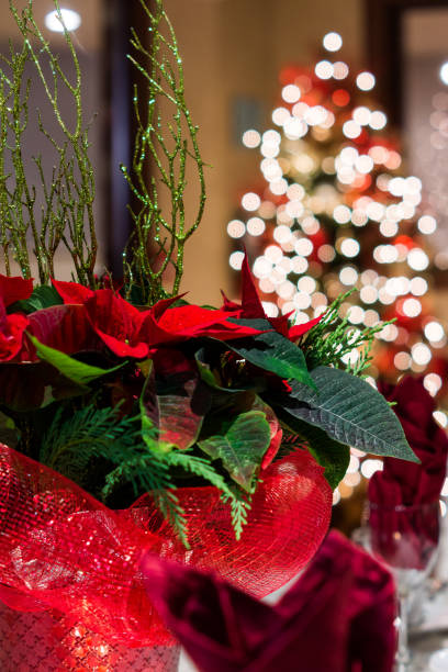 istock Close up of Christmas Decorations 1219407563