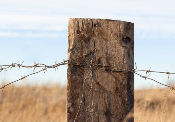 Plastic bag stuck on barbed wire Old wooden post with barbed wire on field pain points stock pictures, royalty-free photos & images