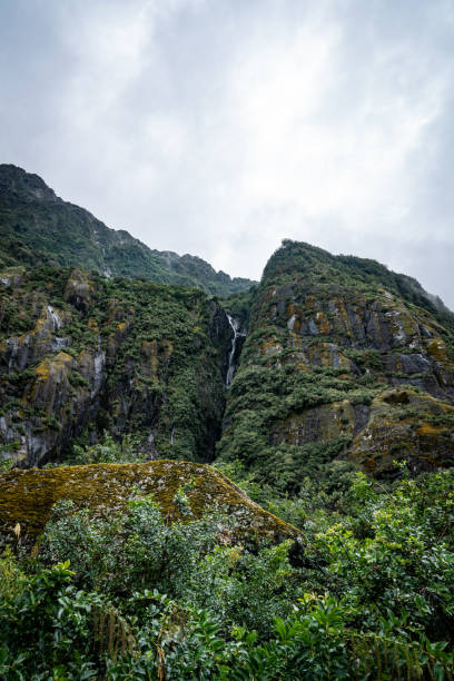 istock Waterfall and Luscious Green Plants 1219409111