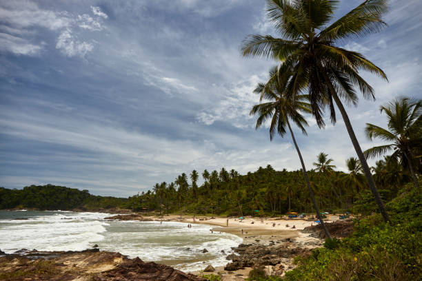 istock Tiririca Beach, New 1219410695