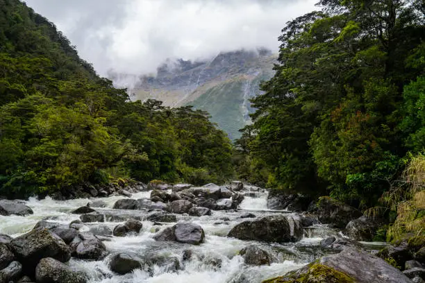 Photo of Rushing River in the Mountains