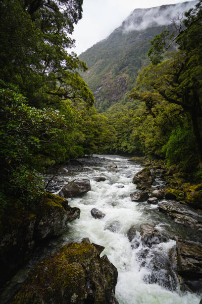 istock Rushing River in the Mountains 1219410807