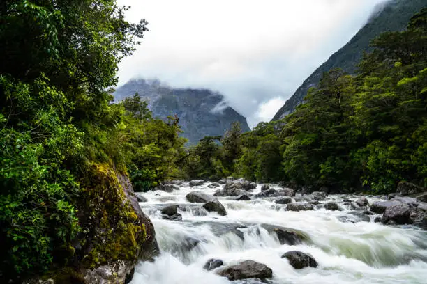 Photo of Rushing River in the Mountains