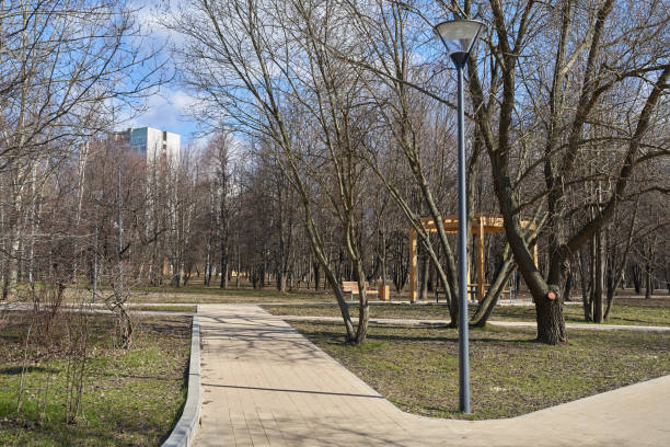 istock Pedestrian walkway in the park 1219412957