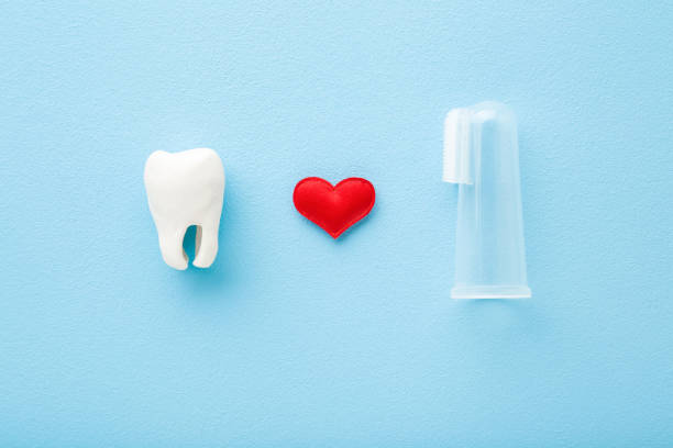 istock White tooth, red heart and transparent silicone fingertip toothbrush on light blue table background. Pastel color. Babies teeth hygiene. Closeup. Top down view. 1219416720