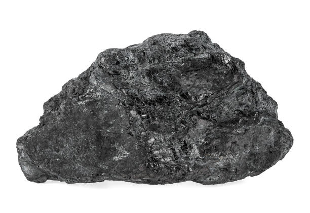 istock Large coal lump isolated on a white background 1219417479
