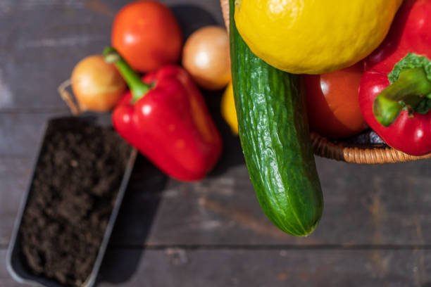 fresh vegetables stacked on the table/ (pepper, onion, cucumber, tomato) there is also a wicker basket