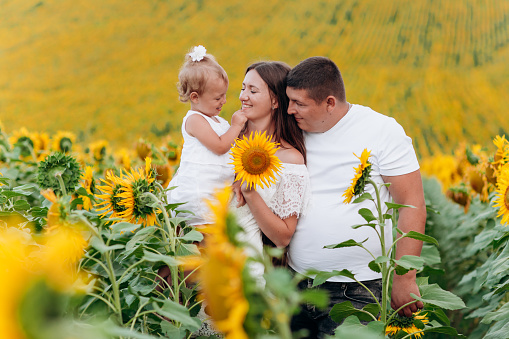 happy family having fun in the field of sunflowers. Father holding his daughter. Mother holding sunflower. outdoor shot. selective focus.