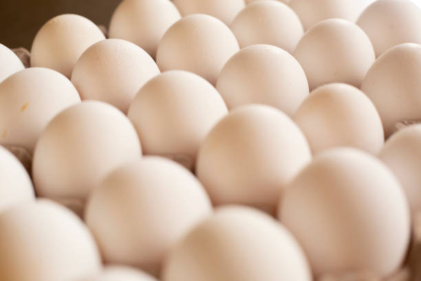 istock Fresh organic white eggs on the kitchen table - egg carton 1219419638