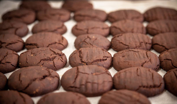 istock Set of chocolate chip cookies on white paper base 1219420601