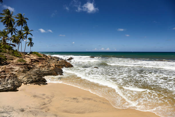 istock Tiririca Beach, New 1219421704
