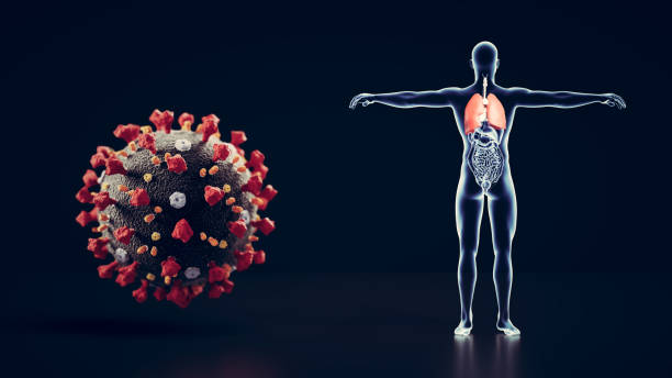 istock Coronavirus cell and human body x-ray with lungs in red color. 1219421784