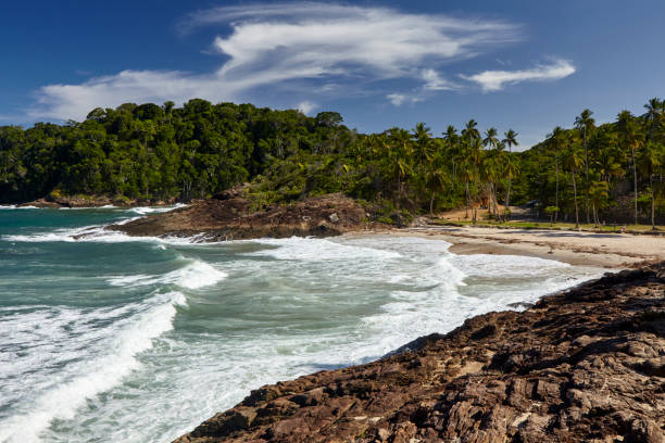 istock Tiririca Beach, New 1219422094