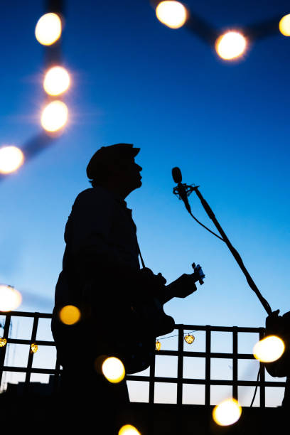Man singing on a night live concert with microphone.