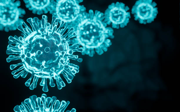 istock coronavirus COVID-19 under the microscope. 3d illustration 1219424483