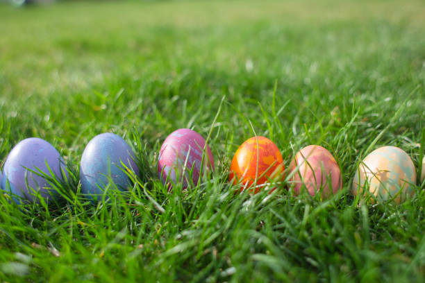 istock Close up of colorful Easter eggs 1219426023